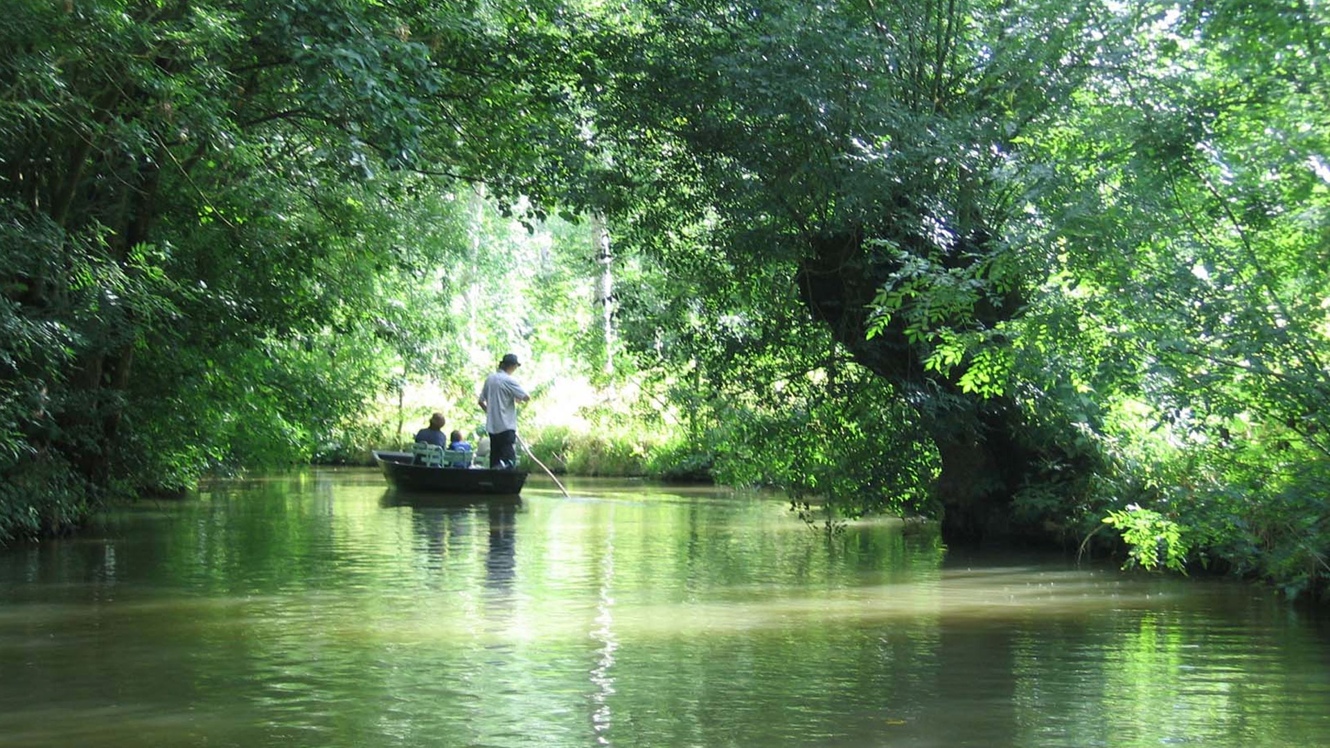 Visiter le Marais poitevin