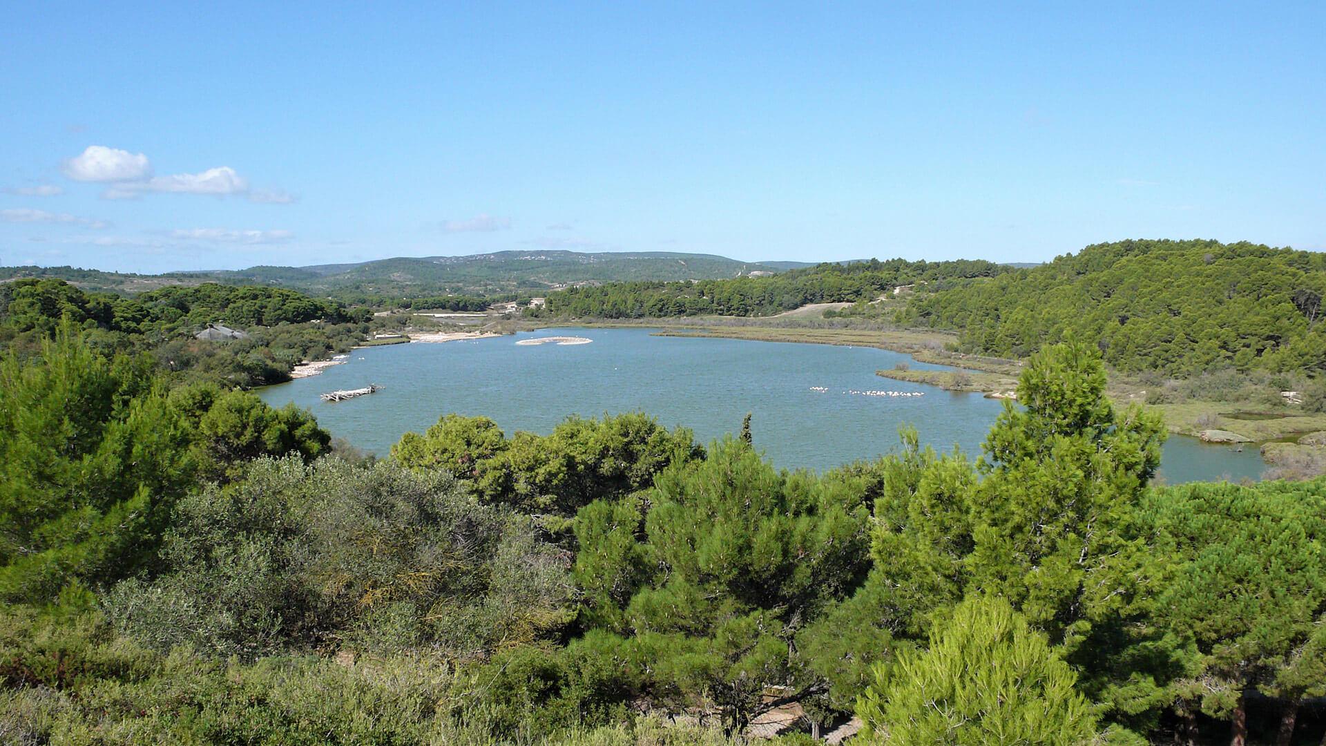 Parc animalier de Sigean dans l'Aude